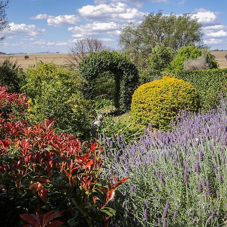Strathearn Park Lodge Scone Εξωτερικό φωτογραφία