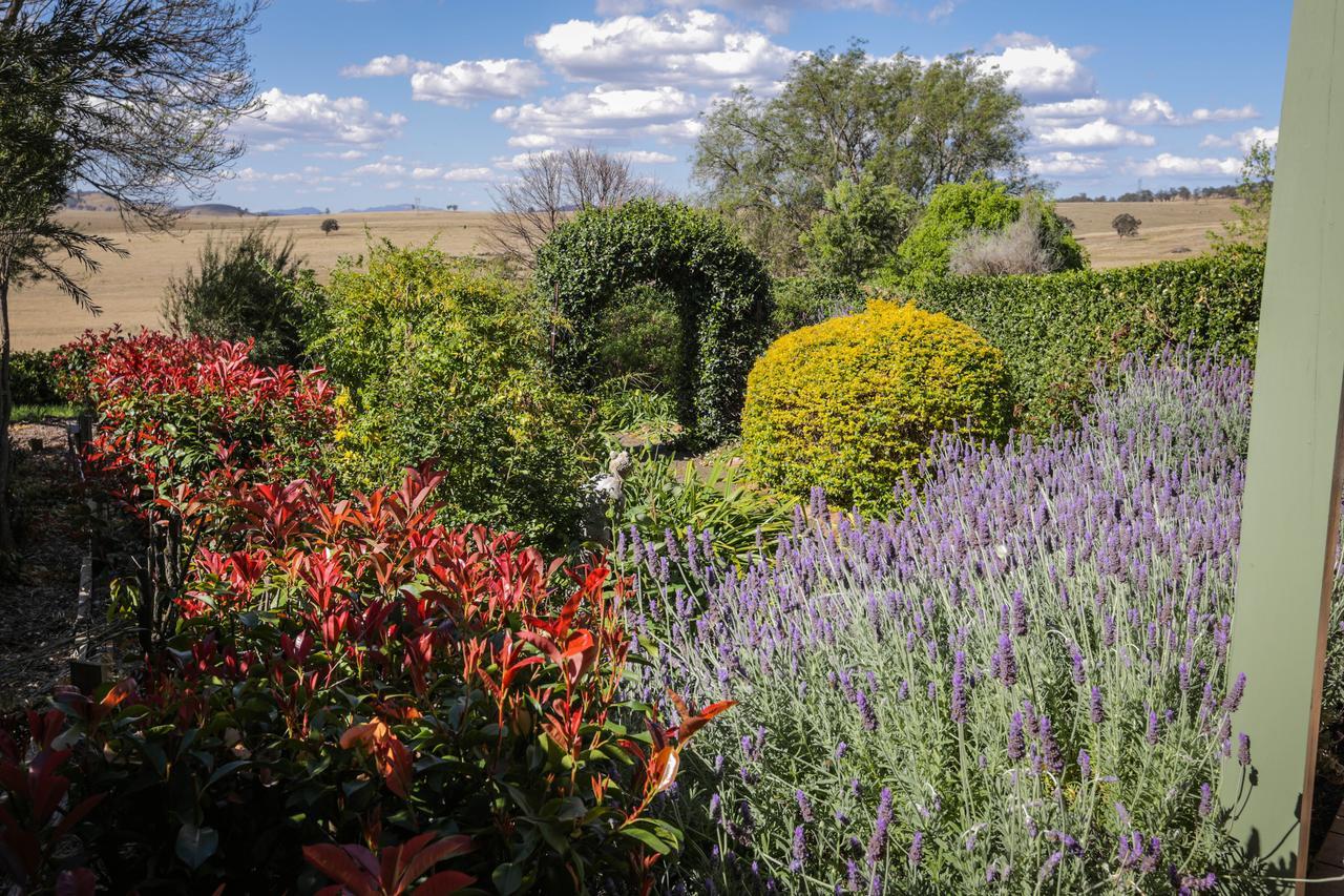 Strathearn Park Lodge Scone Εξωτερικό φωτογραφία